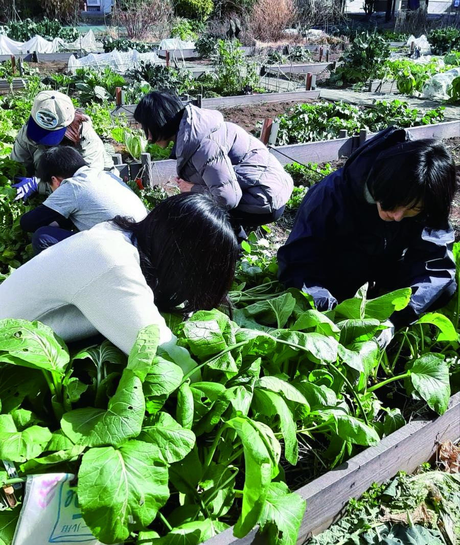 畑で野菜を育てる土いじりの会